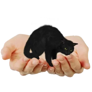 Стикер Больше стиков тут: @stikery4 - 10