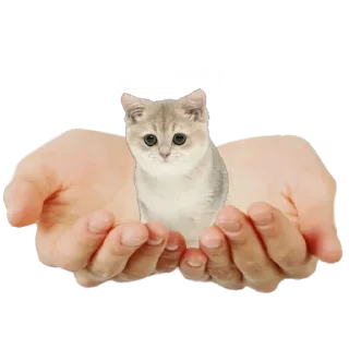 Стикер Больше стиков тут: @stikery4 - 1