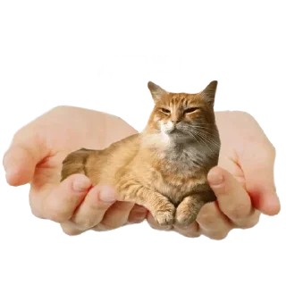 Стикер Больше стиков тут: @stikery4 - 4