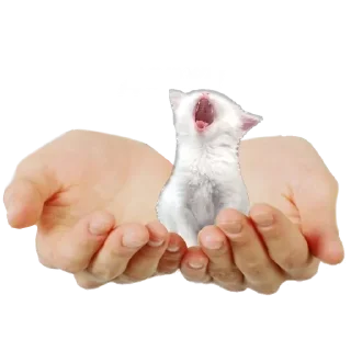 Стикер Больше стиков тут: @stikery4 - 5