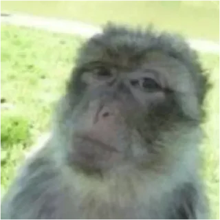 Стикер Лучшие стикеры - @lovesticers - 7