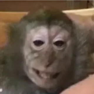 Стикер Лучшие стикеры - @lovesticers - 0