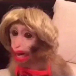 Стикер Лучшие стикеры - @lovesticers - 5