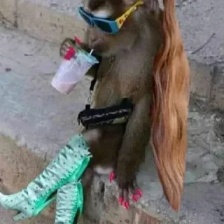 Стикер Лучшие стикеры - @lovesticers - 11