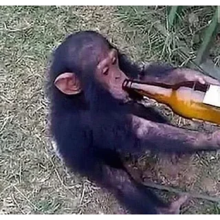 Стикер Лучшие стикеры - @lovesticers - 2