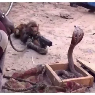 Стикер Лучшие стикеры - @lovesticers - 1