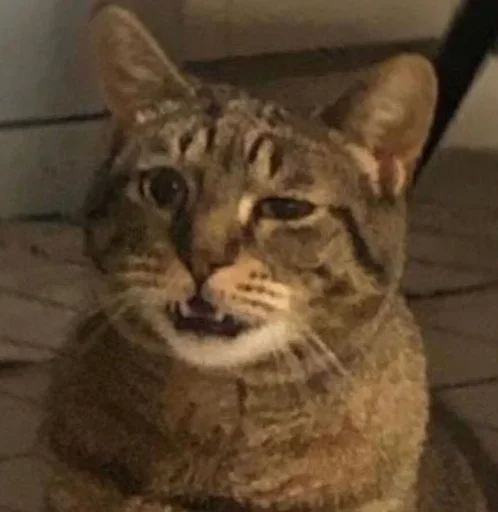 Sticker mOlwszZ_by_achestickbot - 1