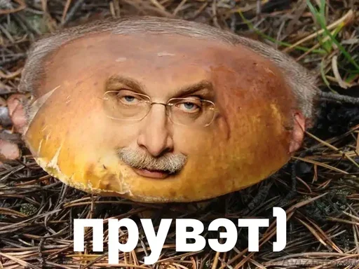 Стикер mOlwszZ_by_achestickbot - 1