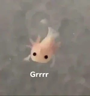 Sticker Больше стиков тут: @stikery4 - 11