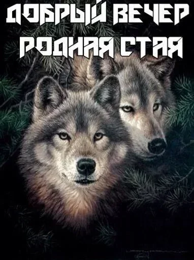 Sticker mTJgHWI_by_stickers_stealer_bot - 1