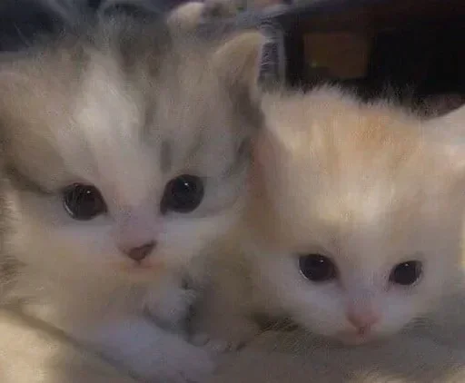 Стикер Больше стикеров 👉🏻 @stickertg4 - 10