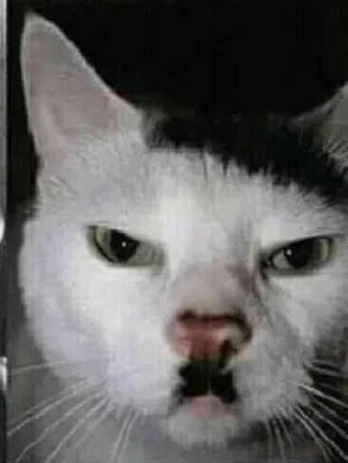 Стикер Больше стикеров 👉🏻 @stickertg4 - 7