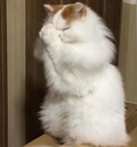 Стикер Больше стикеров 👉🏻 @stickertg4 - 6