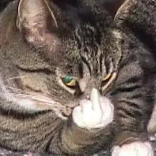 Стикер Больше стикеров 👉🏻 @stickertg4 - 3