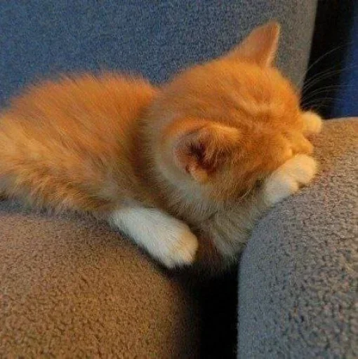 Стикер Больше стикеров 👉🏻 @stickertg4 - 0