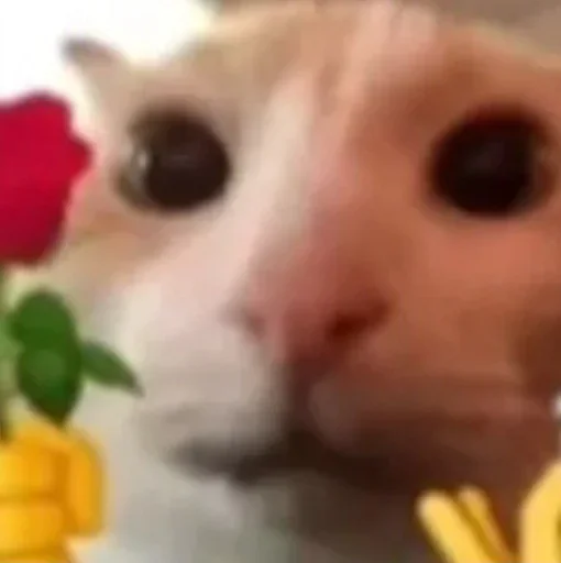 Стикер mVaRXpQowG_by_WmojiBot - 1