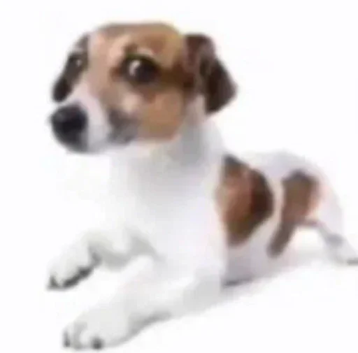 Стикер mVaRXpQowG_by_WmojiBot - 1