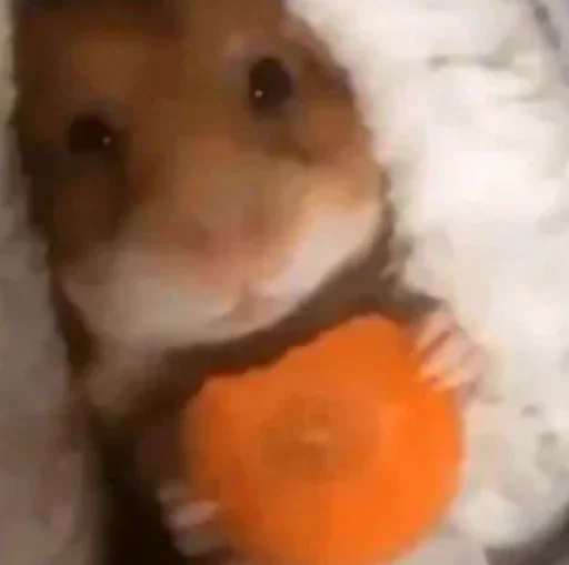 Sticker mVaRXpQowG_by_WmojiBot - 1