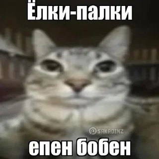 Sticker Больше стиков тут: @stikery4 - 10