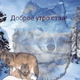 Sticker Больше стиков тут: @stikery4 - 0