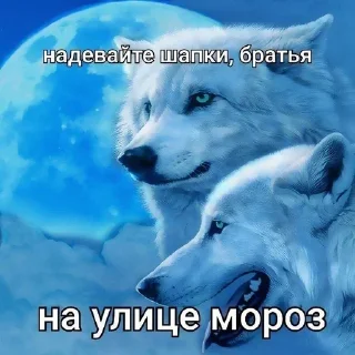 Sticker Больше стиков тут: @stikery4 - 11