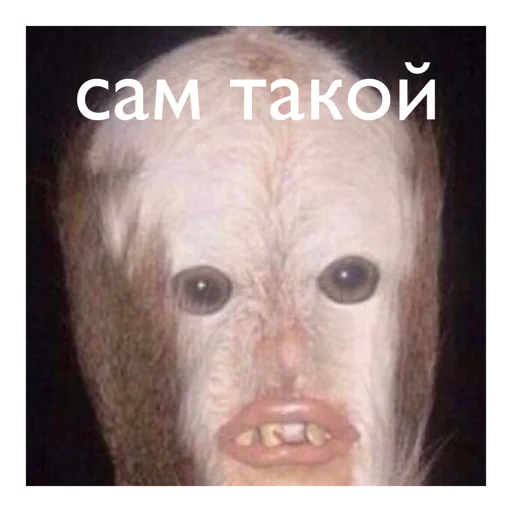 Sticker maamamiaa - 1