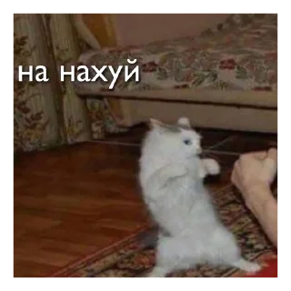 Стикер мама мия - 11