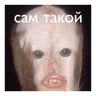 Стикер мама мия - 6