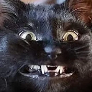 Sticker macrocats - 5