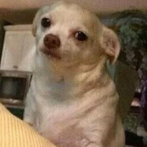 Sticker madikaa by @fStikBot - 3