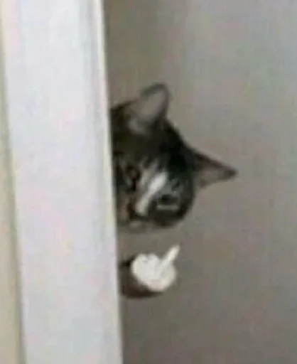 Sticker madikaa by @fStikBot - 2