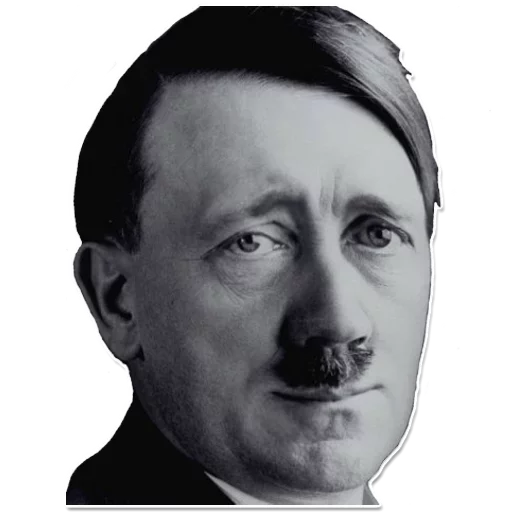 человеческое лицо портрет челюсть