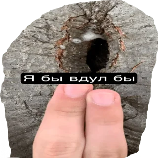 Стикер мадяр сквад - 4