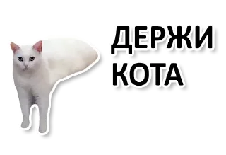 Стикер ЕБАНОЕ КАЗИНО - 10