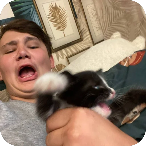 Стикер magafony - 1