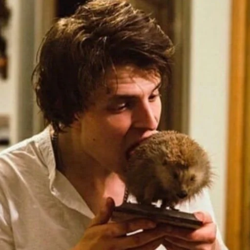 animal person mammal