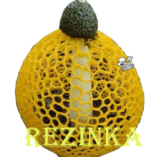 Стикер magic51mushroom - 1