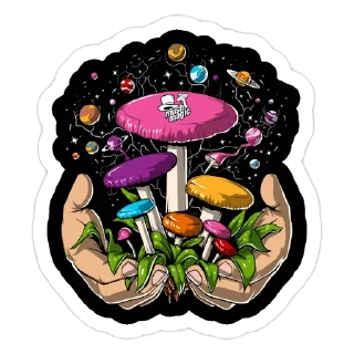 Sticker Magic MUSHROOMS🍄 - 3