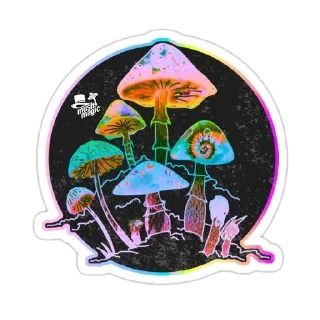 Sticker Magic MUSHROOMS🍄 - 10
