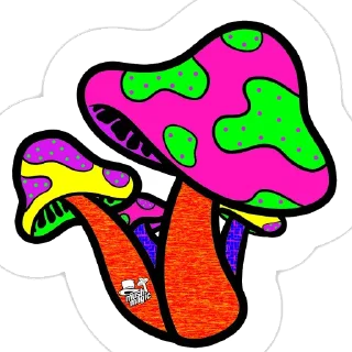 Sticker Magic MUSHROOMS🍄 - 1
