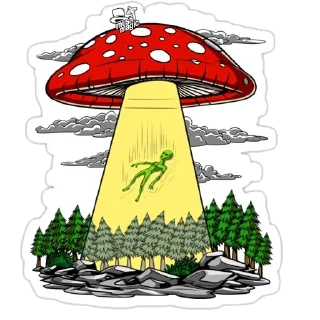 Sticker Magic MUSHROOMS🍄 - 4