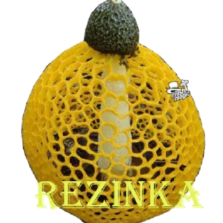 Sticker Magic MUSHROOMS🍄 - 9