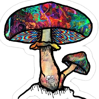 Sticker Magic MUSHROOMS🍄 - 0