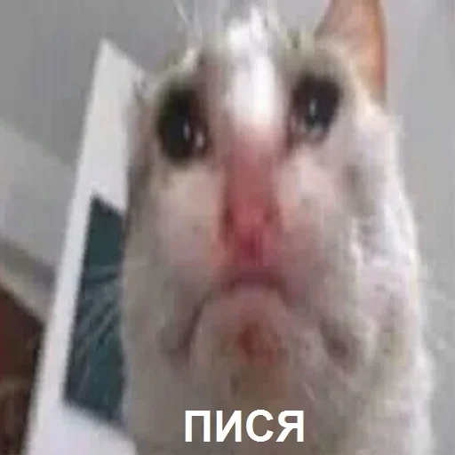 Sticker magyache_by_fStikBot - 1