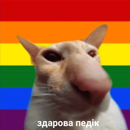 Стикер аче by @fStikBot - 5