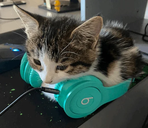 Стикер mahicay - 1