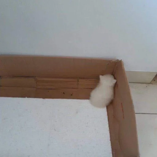 Стикер mahicay - 1