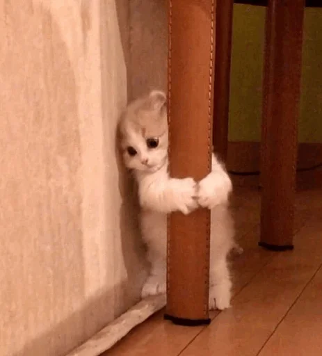 Стикер mahicay - 1