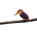 Стикер Alphabet - 2