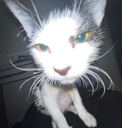 Стикер AOISDHAGDAHSDLJ,JADHGH @dectiob_36 - 9